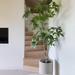 'elements' With Panoramic Views Ferienhaus