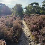 'elements' With Panoramic Views Bergen