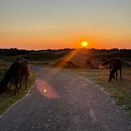 Feriehus 'elements' With Panoramic Views Bergen