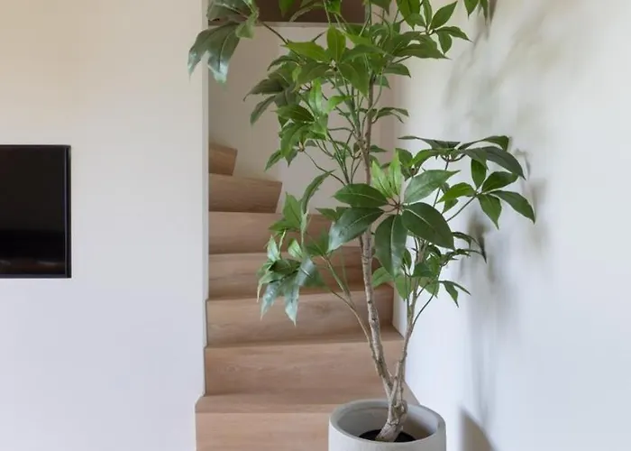 'elements' With Panoramic Views Holiday home