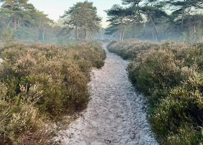 Tatil Evi 'elements' With Panoramic Views