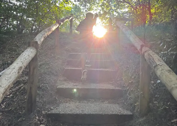 Holiday home 'elements' With Panoramic Views Bergen