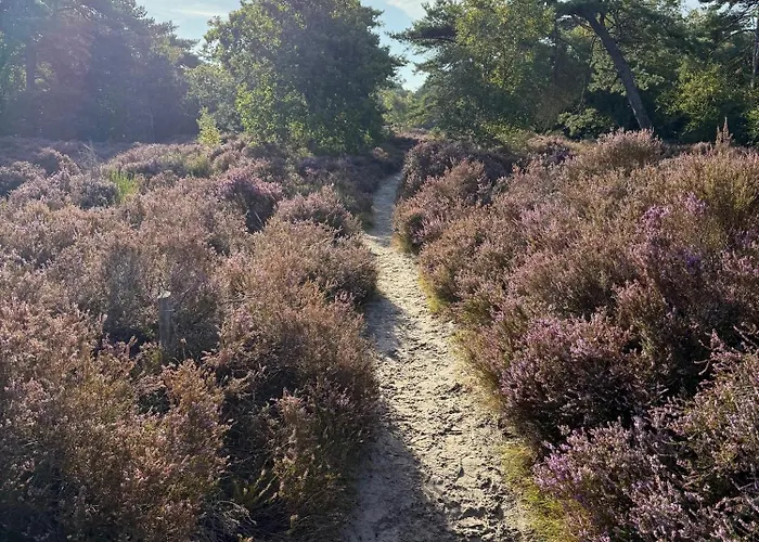 'elements' With Panoramic Views Bergen