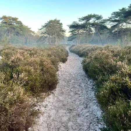 'elements' With Panoramic Views Semesterbostad Bergen