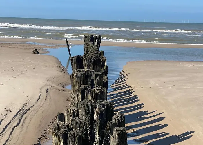 'elements' With Panoramic Views Semesterbostad Bergen