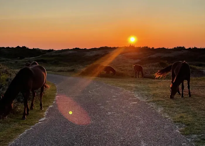 'elements' With Panoramic Views Semesterbostad *